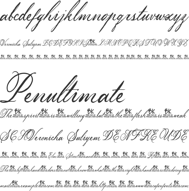 BKR Veronicha Suliyem font preview