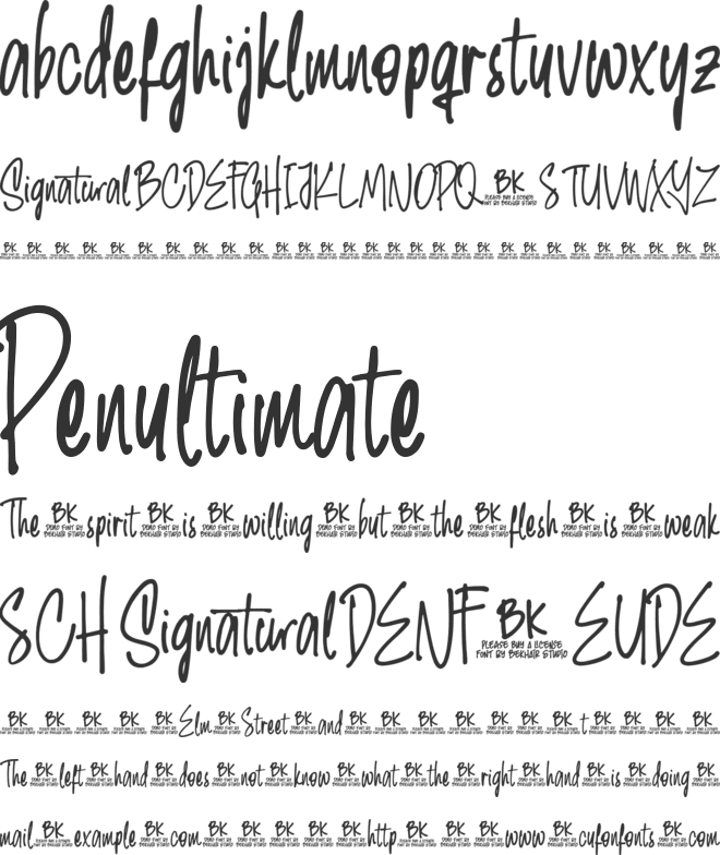 BKR Signatural font preview