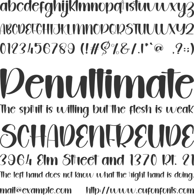 Digital Planner font preview