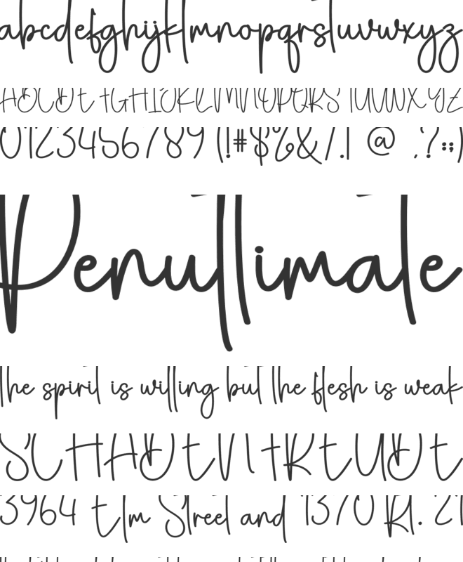 Story Christmas font preview