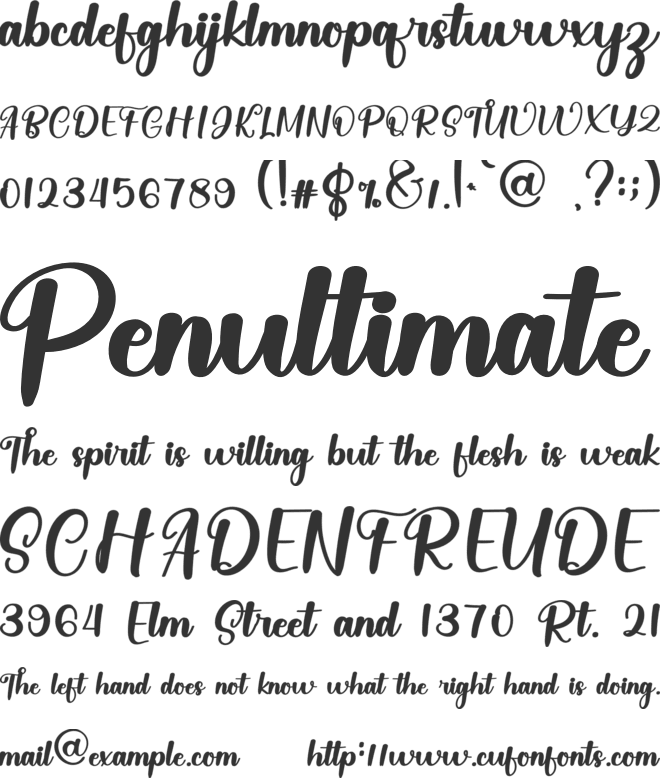 Calligrphic font preview