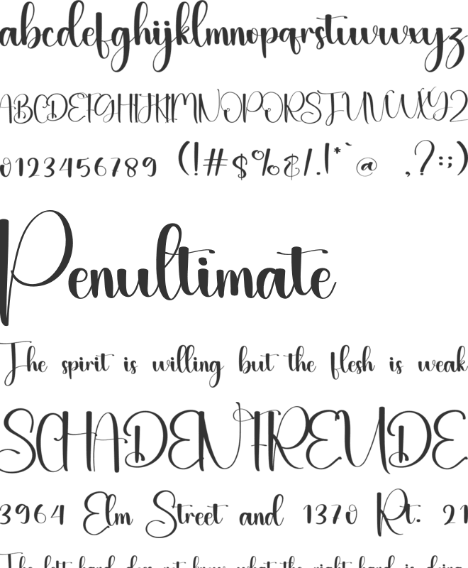 The Daily font preview