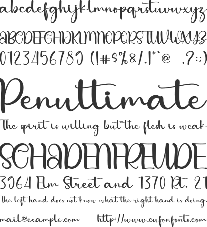 Vacationist font preview