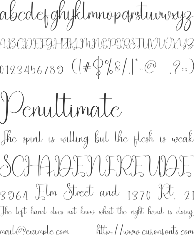 Homing font preview