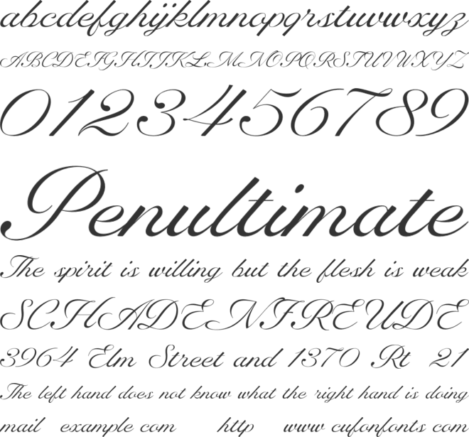 RB Anchovy font preview