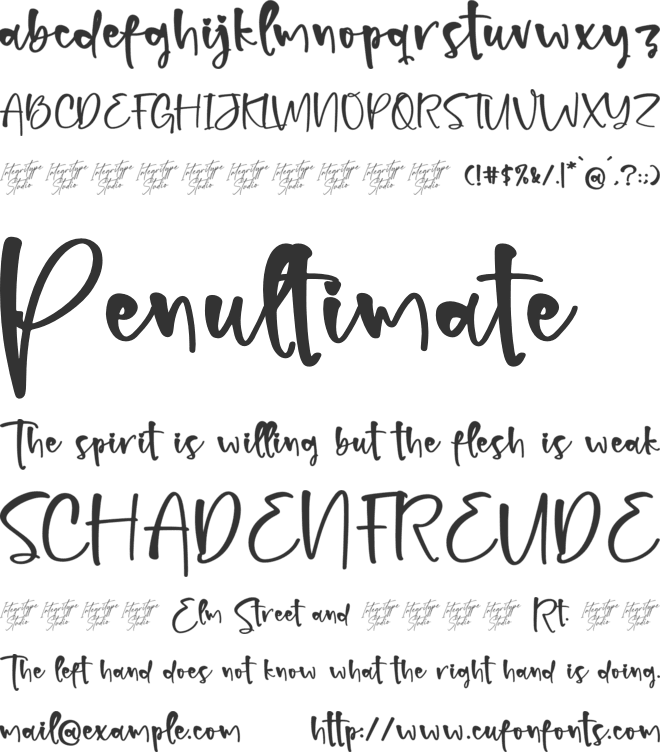 Blissful Christmas font preview