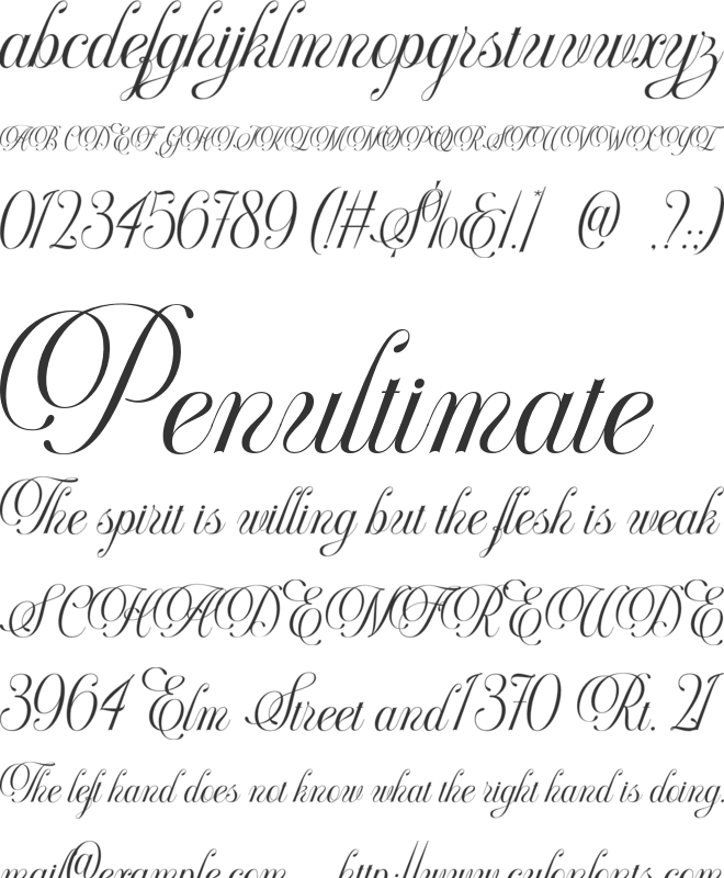 Berlyana font preview