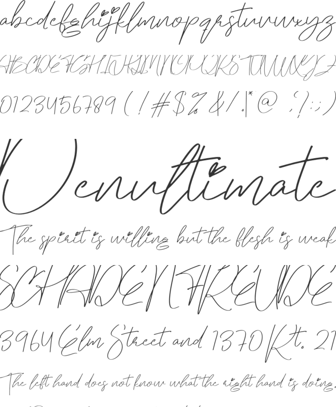 Regulation font preview