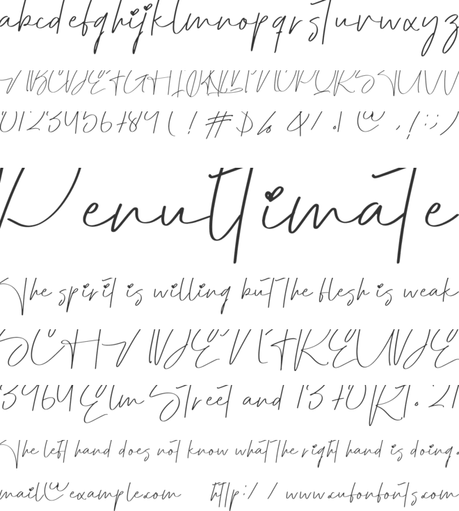 Father Signature font preview