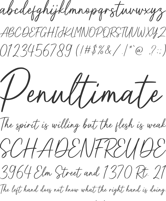 Purelines font preview