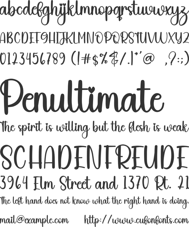 Dirigible font preview