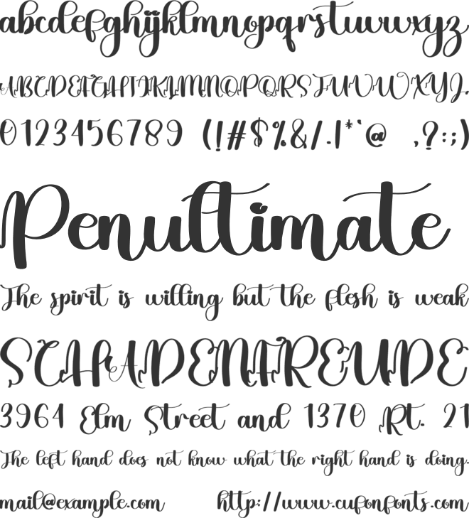 Minds font preview