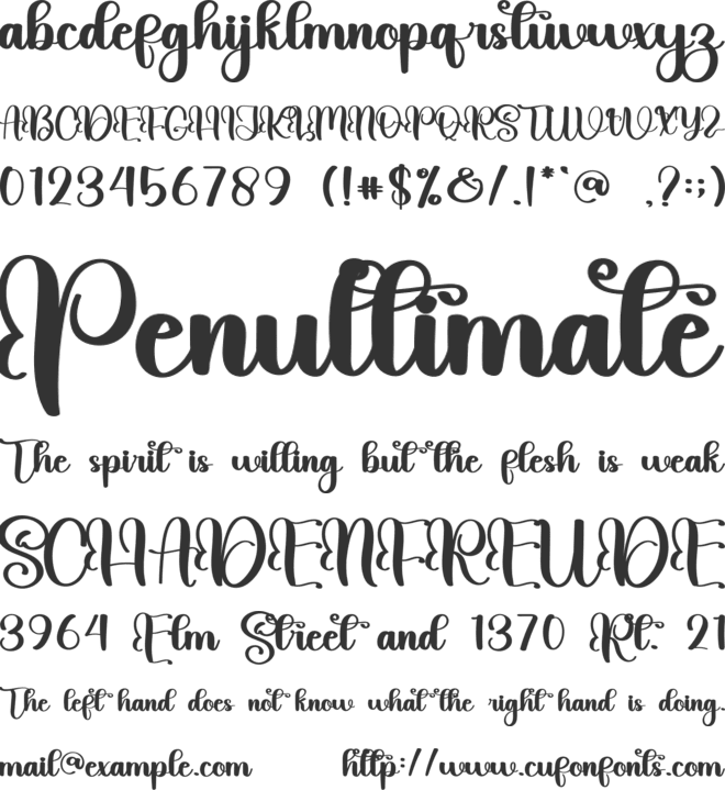 Winter Beach font preview