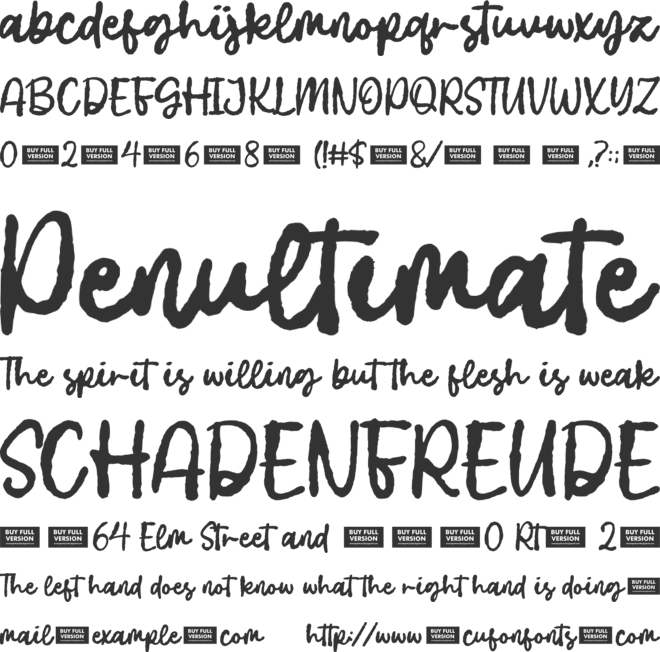 Insight Baltimore font preview