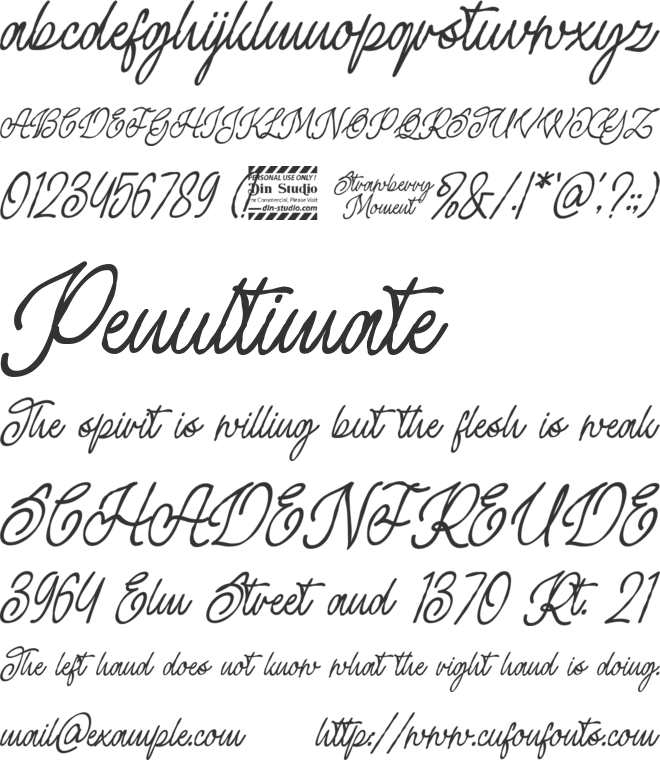 Strawberry Moment Personal Use font preview