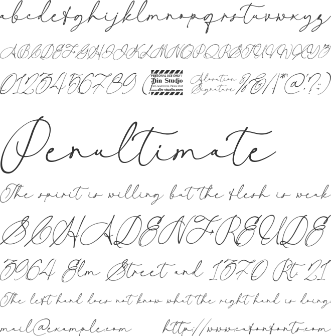 Adoration Signature Personal Us font preview