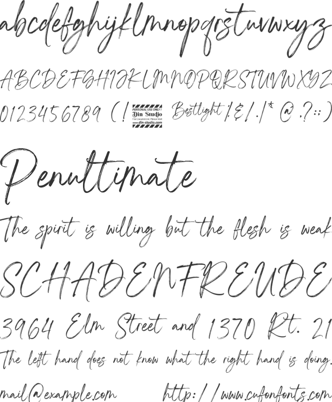 Bestlight Personal Use Only font preview