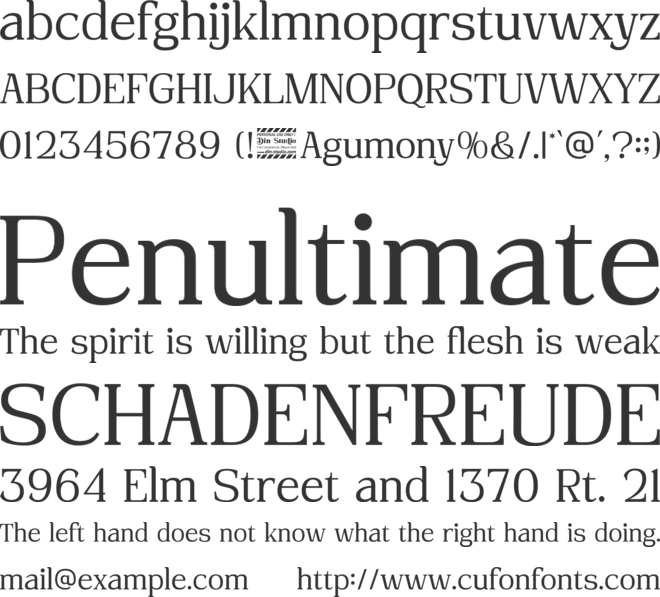 Agumony Personal Use Only font preview