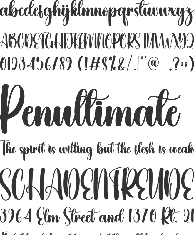 Sanitation font preview