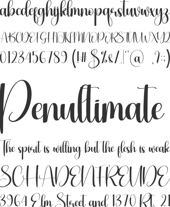 Hey Sunflower font preview