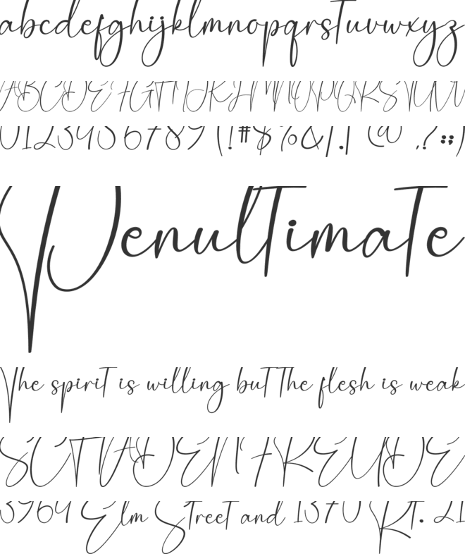 Calistha Calligraphy font preview