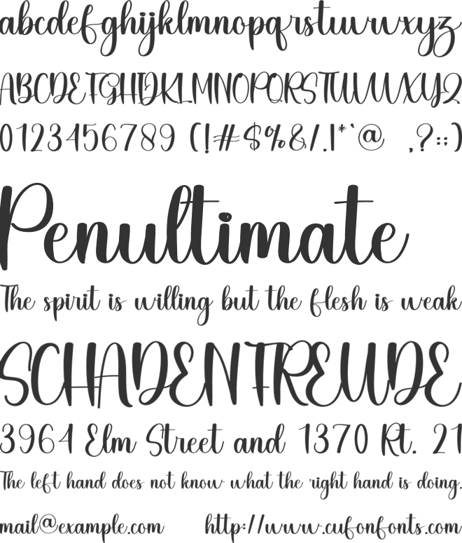 Buddy font preview