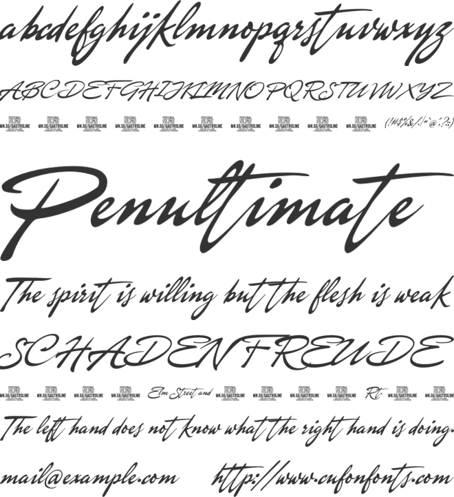 Gastroline Signature PERSONAL font preview