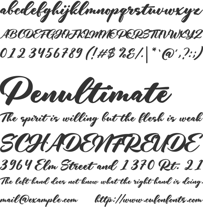 The Diplomat Signature font preview