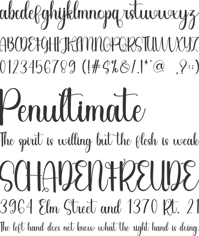 Betta font preview