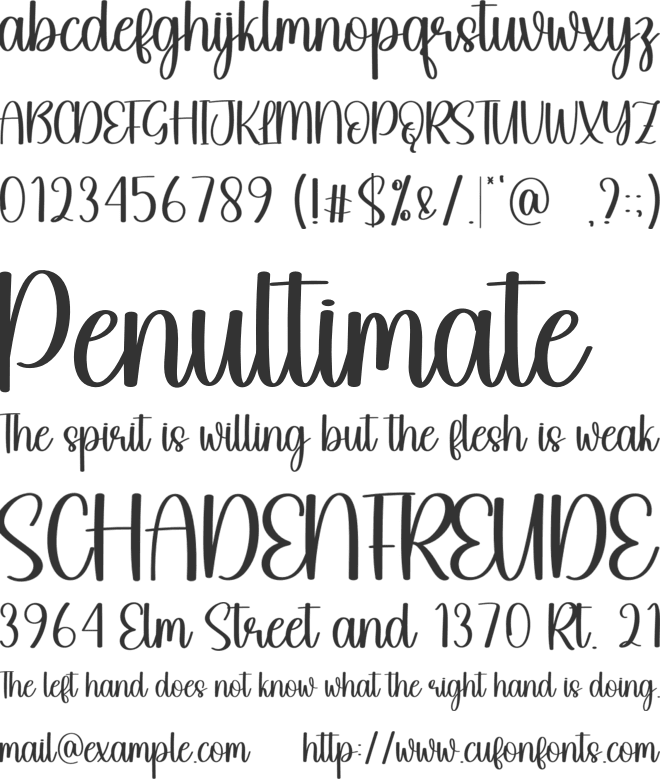 Snowteen font preview