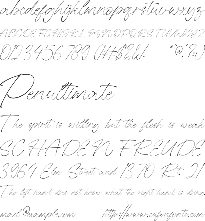 NCL Qustija Sogistyas font preview