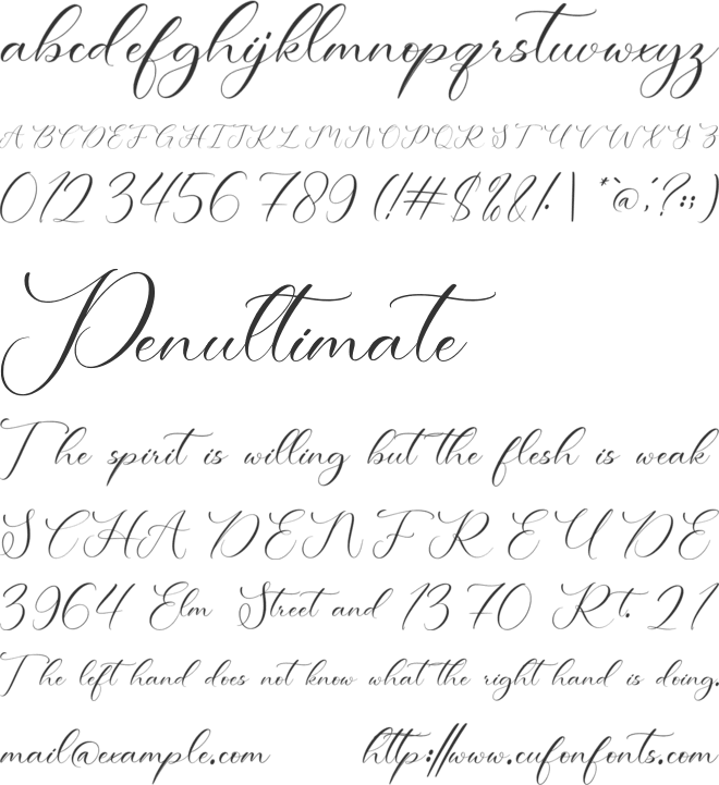 NCL Eqides Bisty font preview