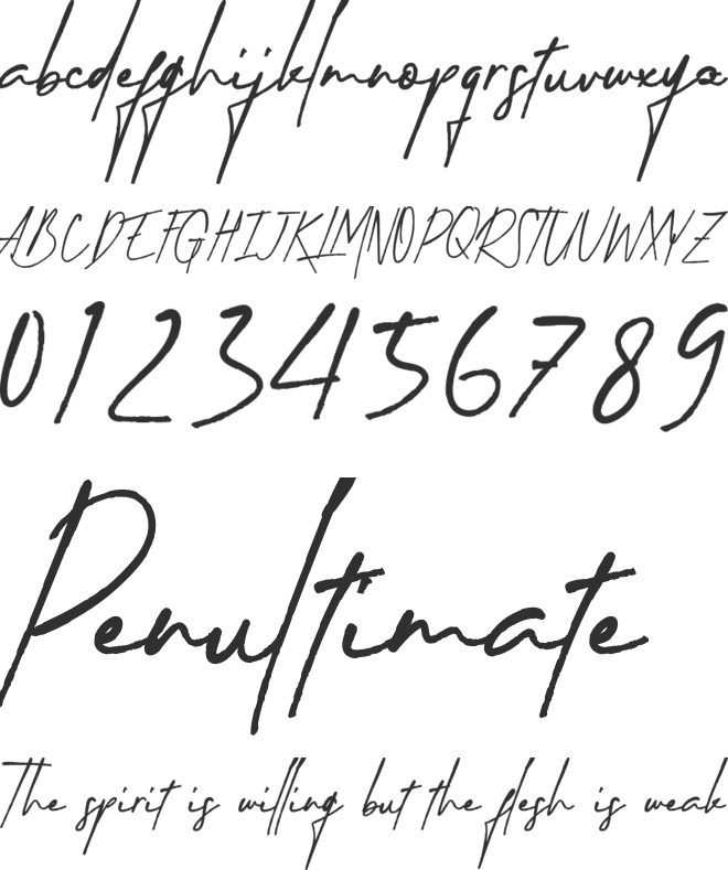 Timberluck font preview