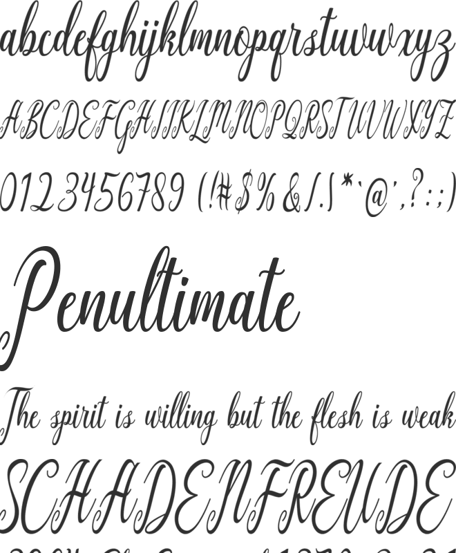 script style fonts