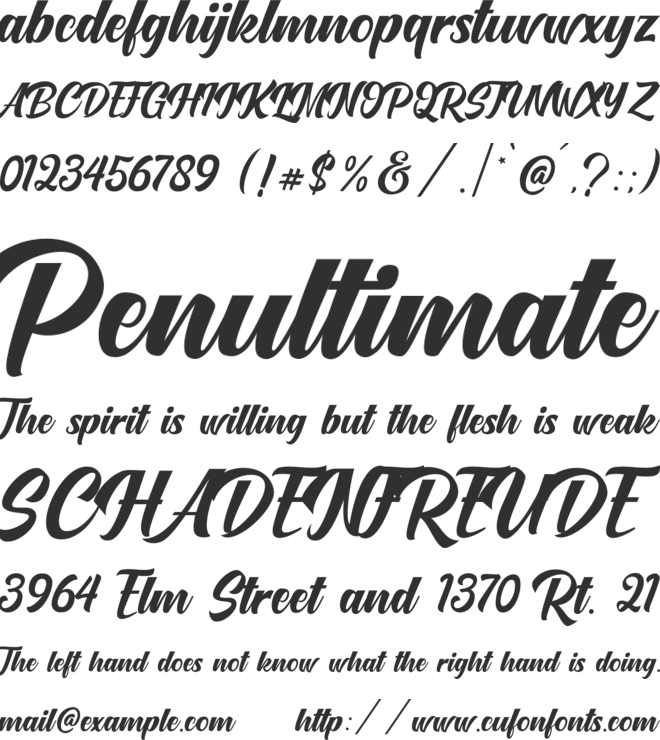 Onetime Script Font : Download Free for Desktop & Webfont