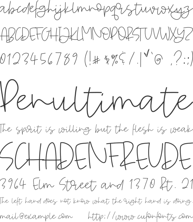 Absolutely font preview