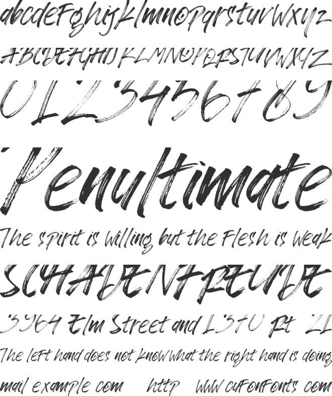 Zingakon font preview