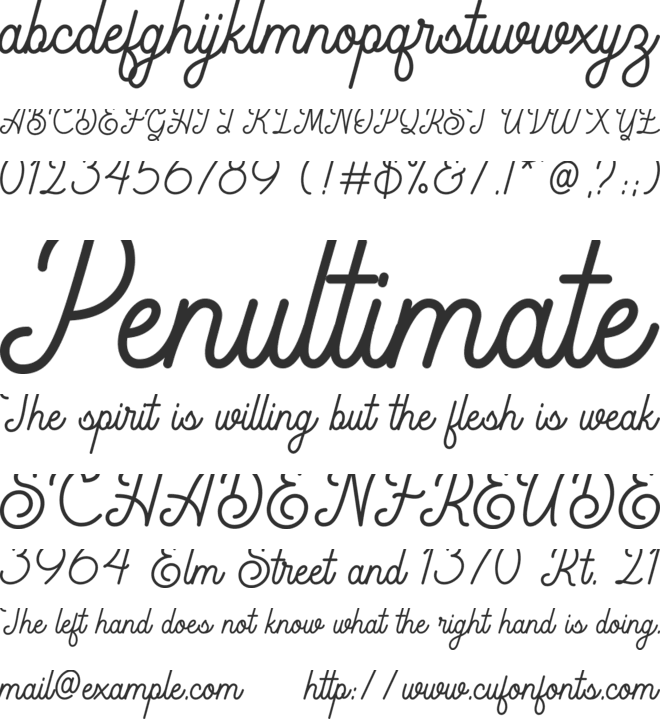 Rigoletto font preview