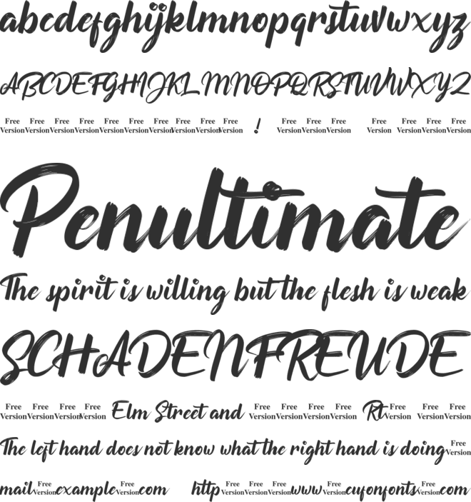 Button Shield Personal Use Only Font : Download Free for Desktop & Webfont