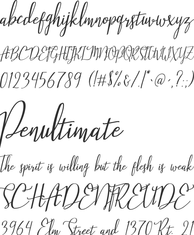 Stellaria font preview