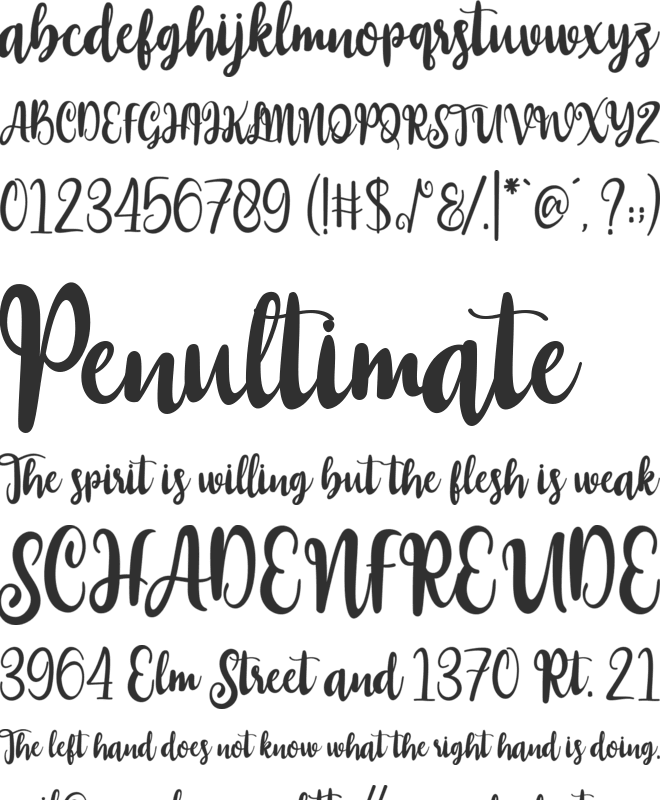 Zakiyah font preview