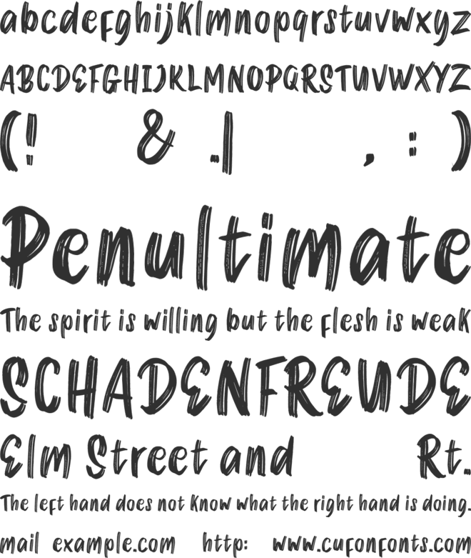 Raw Entry font preview