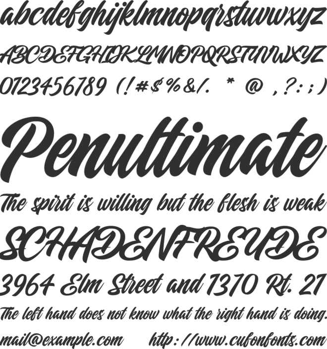 Coolkids - Script Typeface Font : Download Free for Desktop & Webfont