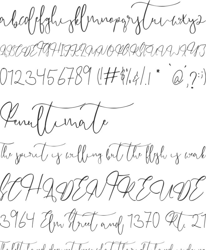 Endossement font preview