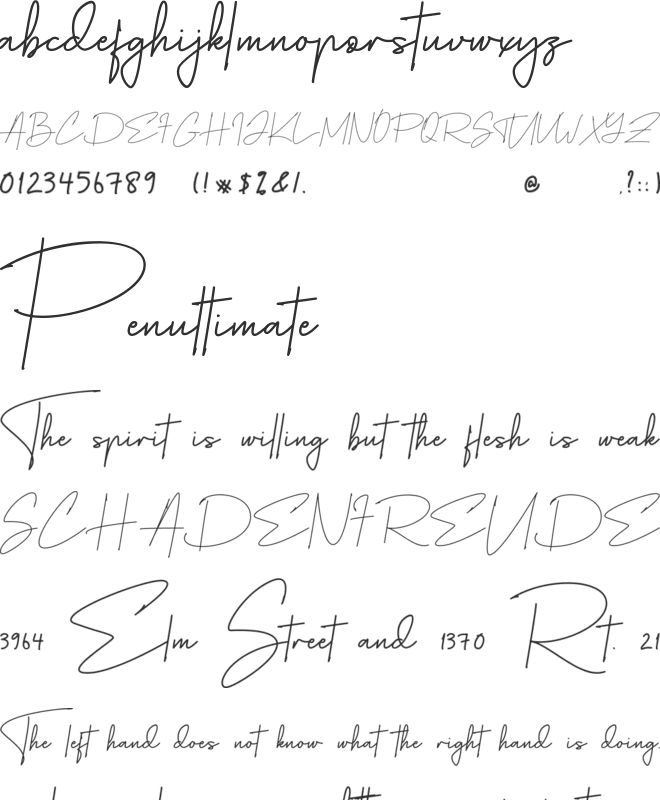 Renadar font preview