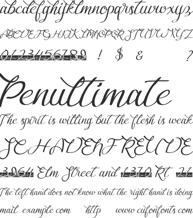 Bougainvillea font preview