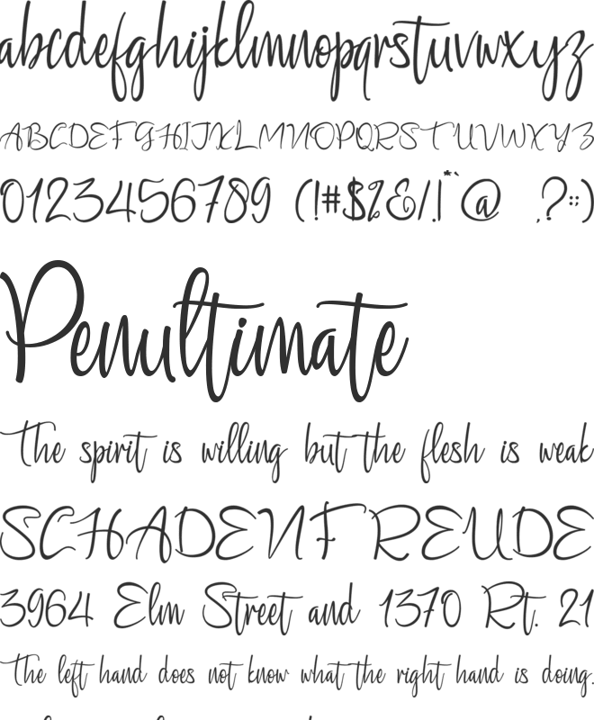 Carlottena font preview