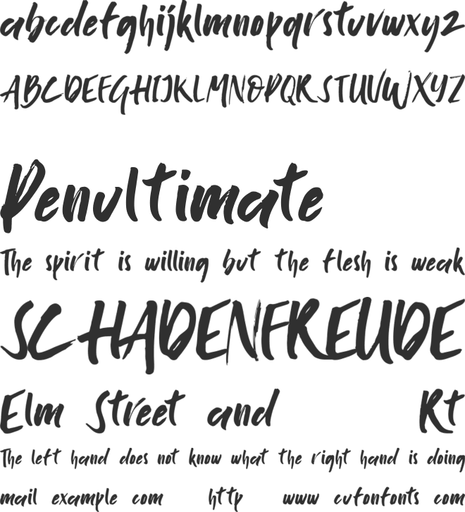 Santoryu font preview