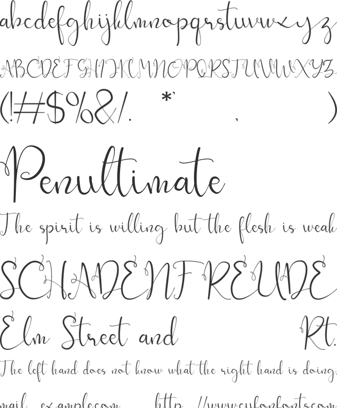 sallea font preview