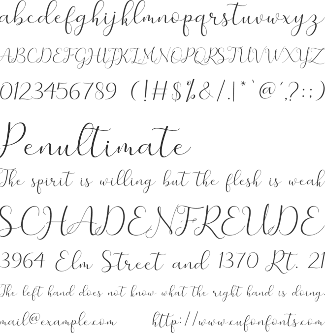 merlin Font : Download Free for Desktop & Webfont